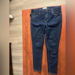 GAP Women's Indigo Skinny Jeans